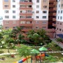 Playground Birdview